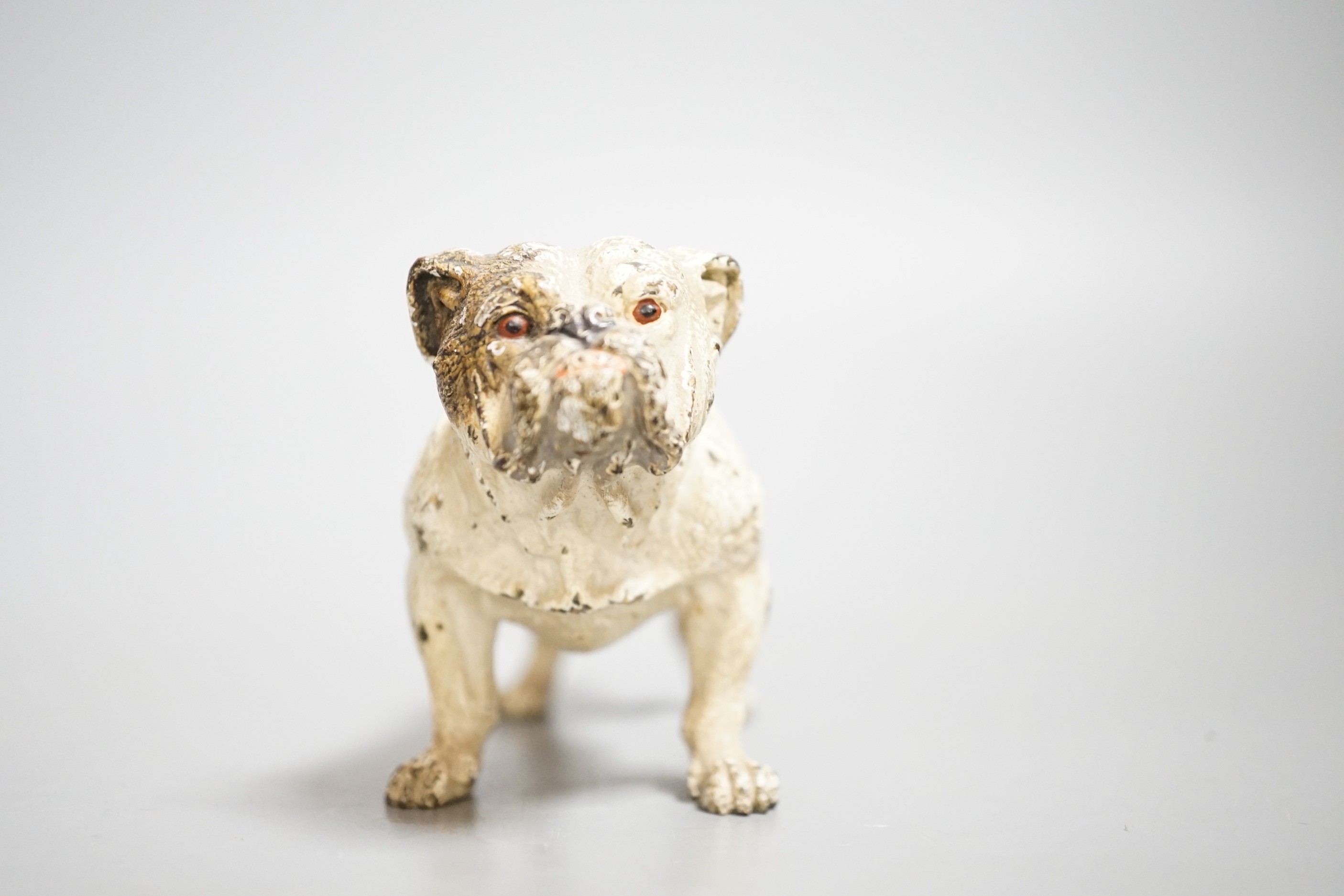 Two Austrian cold painted models of bulldogs, stamped Geschutzt. 10cm long